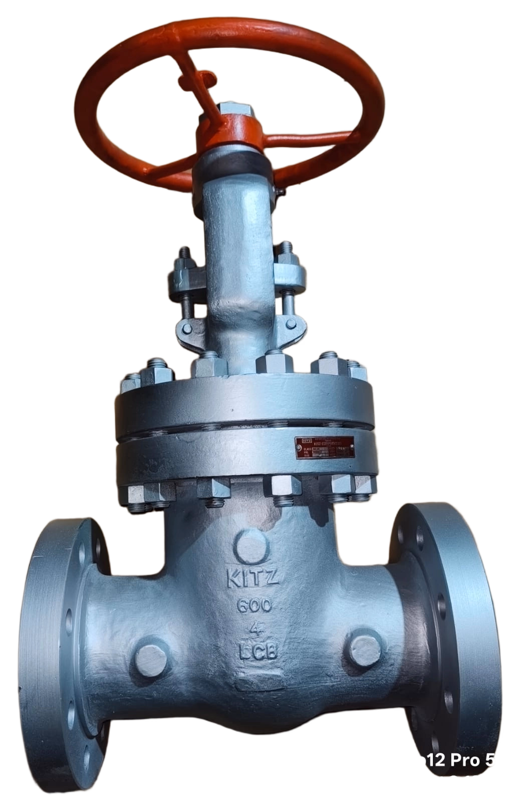 Safety Relief Valves (SRV / PSV): Spring-Loaded view 2